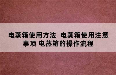 电蒸箱使用方法  电蒸箱使用注意事项 电蒸箱的操作流程